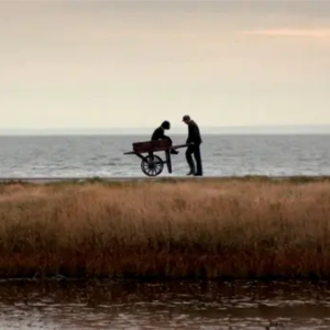 这世界那么多人（男版-吉他弹唱）