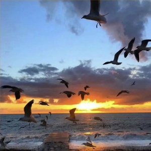 等到天边月亮入睡