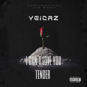 I can't love you tender