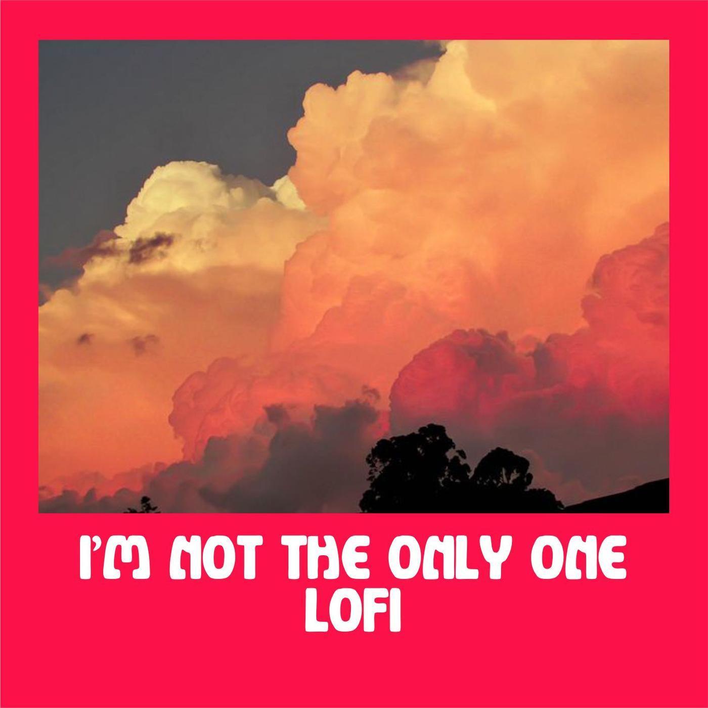 I'm Not the Only One Lofi (Remix)