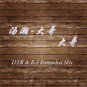 汤潮-大哥 大哥 2版（DTR & B.S Extended Mix）