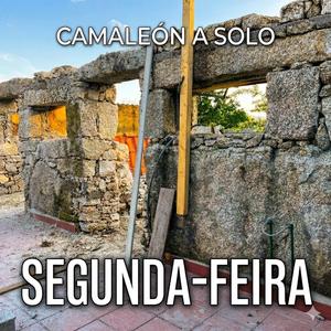 Segunda feira