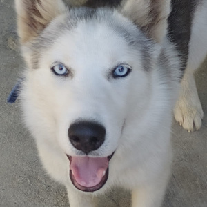 La Mejor Cancion (Instrumental Version)