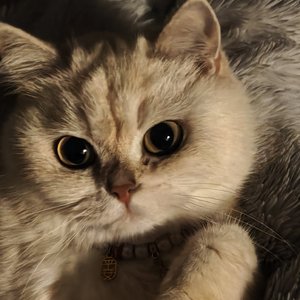 我停止了主动,你又能记住我多久