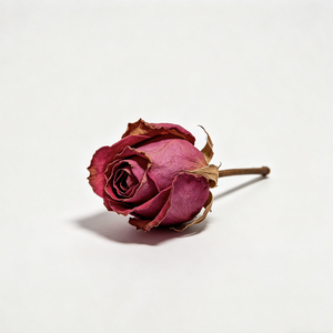 说不在乎是假的