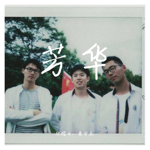 芳华（demo）