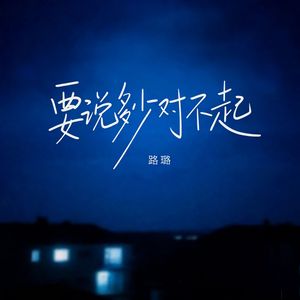 要说多少对不起