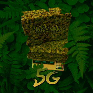 5G