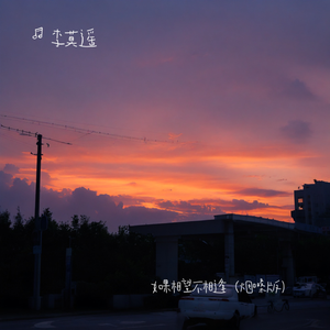 如果只相望不相逢