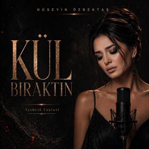 Kül Bıraktın