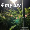 FrankL - 4 my luv（feat.CADEneedmoreluv)