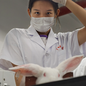 我与实验动物的歌