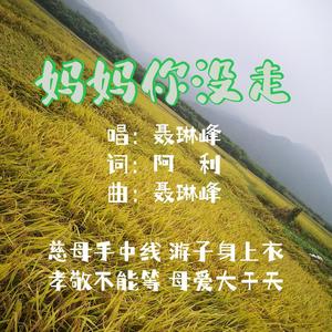 妈妈你没走 (伴奏)