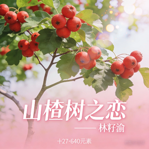 山楂树之恋（降调版）