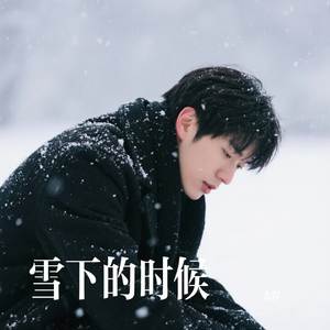 雪下的时候