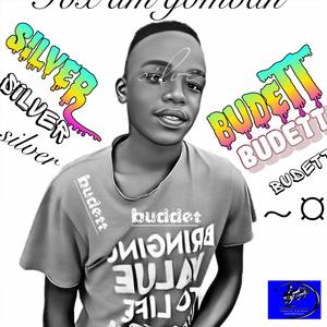 Silver Budett