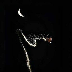 我是崭新的自己