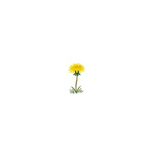 꽃 길이라 부를래요(부제: 아빠 퇴직 응원곡)