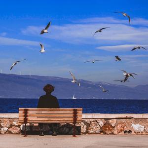 Song of the Lost Bird