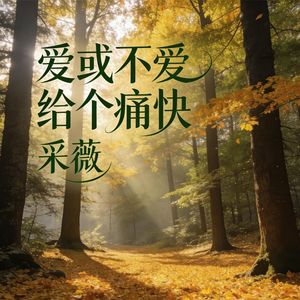 爱或不爱 给个痛快