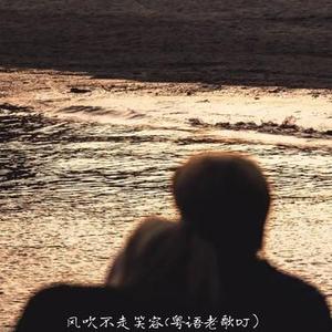 风吹不走笑容（粤语老歌DJ）