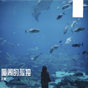 喧闹的孤独