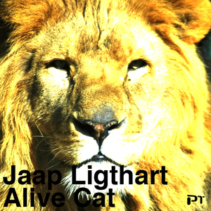 Alive Cat (Yura Popov Remix)