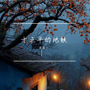 十点半的地铁