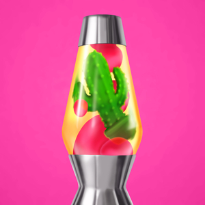 Mammillaria is Flowering