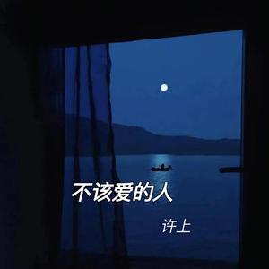 不该爱的人