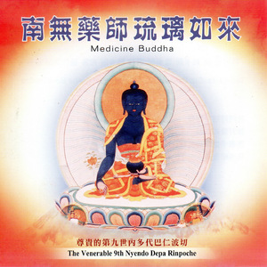 南無藥師琉璃如來聖號