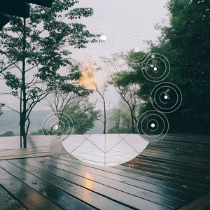 Bamboo Skin Resonance