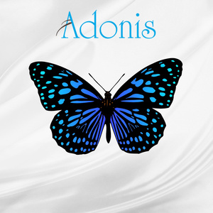 Adonis