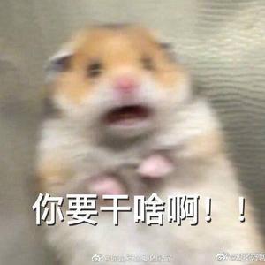 像暗杀似的绕到背后突然拥抱你