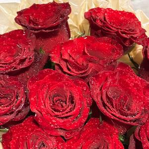 追求漂亮女 (Demo)