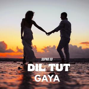 DIL TUT GAYA