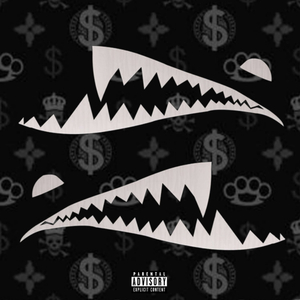 Akula (prod. by pssb8lck)