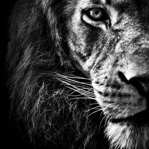 末日派热舞（Cover Mario&俺酱）