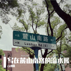 写在麓山南路的流水账