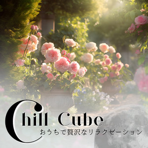 Morning Songs for a New Day