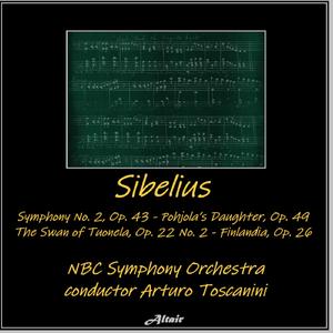 Symphony NO.2 in D Major, Op. 43: II. Tempo Andante, Ma Rubato (Live)