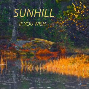 If You Wish