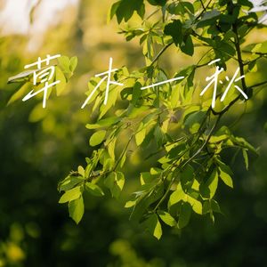 草木一秋