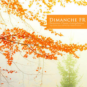 Haydn: Symphony No.103 In E Flat Major Hob.I.103 - II. Andante Piu Tosto Allegretto