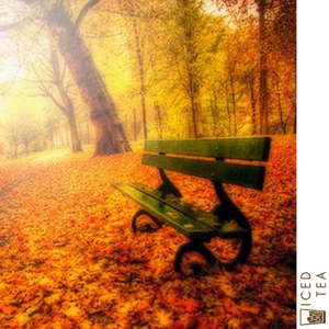 가을 바람이 분다