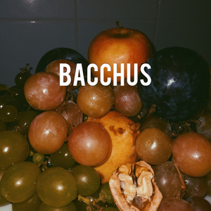 Bacchus