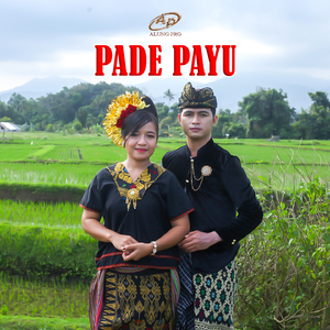 Pade Payu