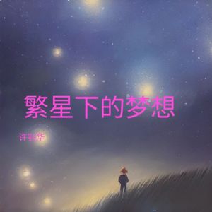繁星下的梦想 伴奏