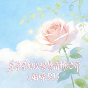 羞答答的玫瑰静悄悄地开 (烟嗓DJ)