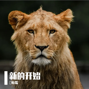 逆风飞翔守护梦想